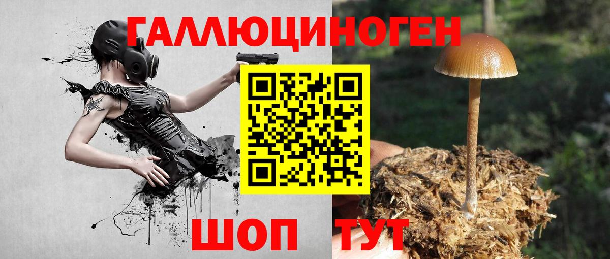 Псилоцибиновые грибы прущие грибы Барнаул
